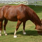 OTRA2014_0390 (August 27, 2014)